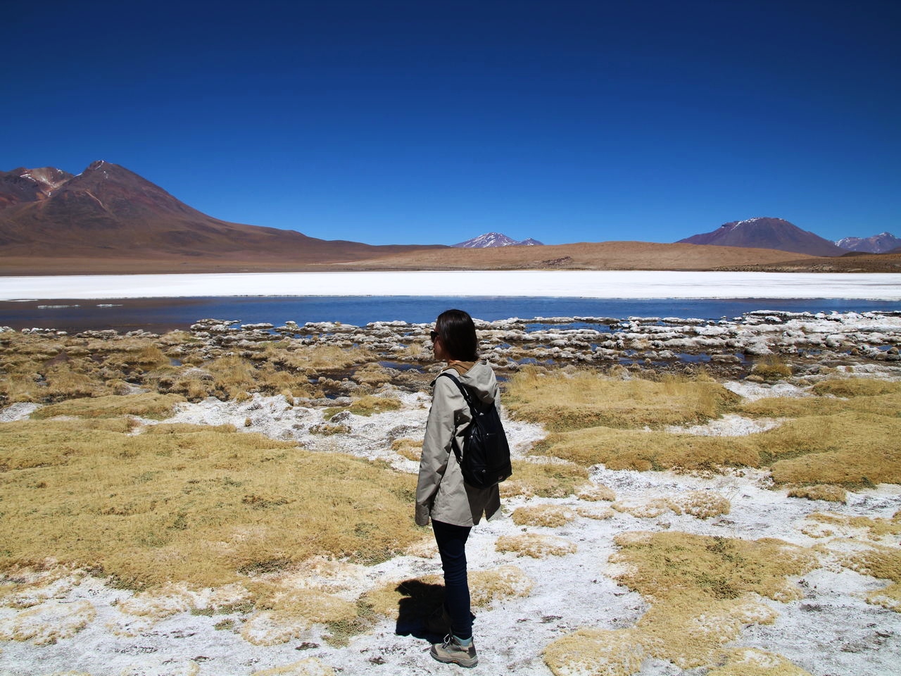 En el tour de 3 días por el Salar de Uyuni verás la preciosa Laguna Cañapa.