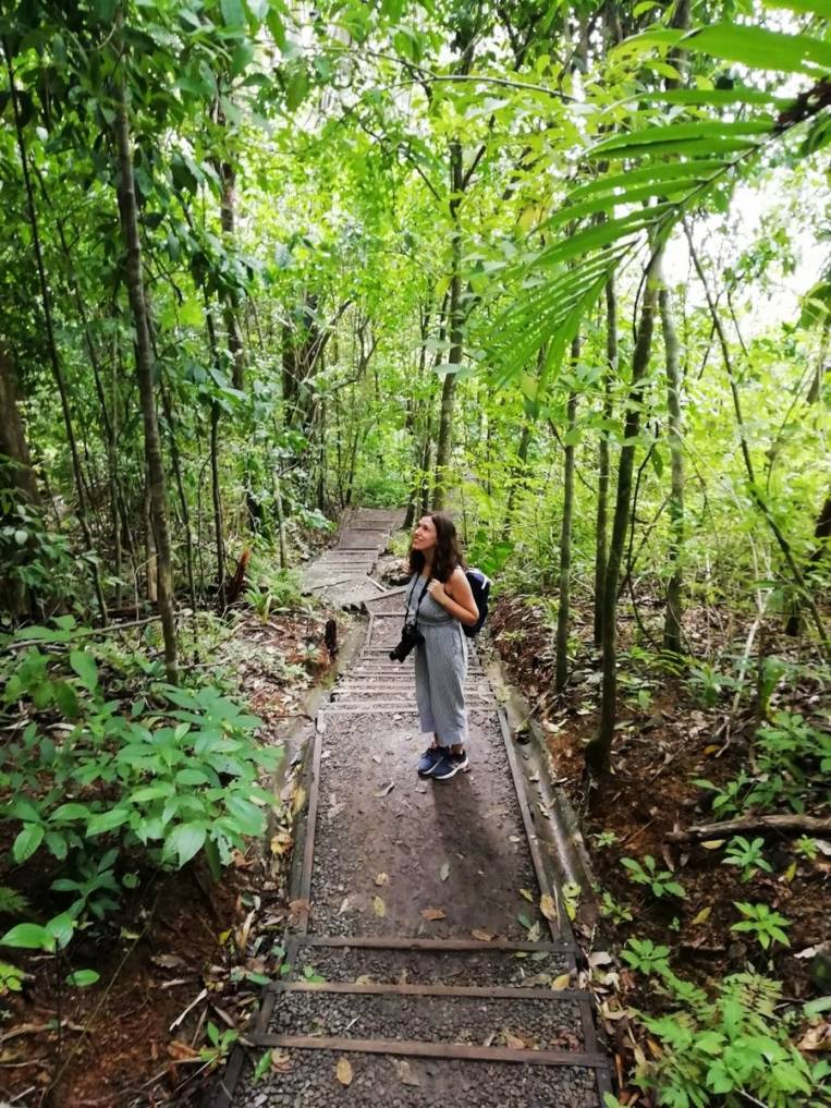 Qué hacer en Manuel Antonio la guía más completa La vida son dos viajes