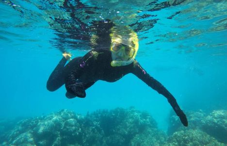 Gran Barrera de Coral en Australia: ¿hacemos snorkel?
