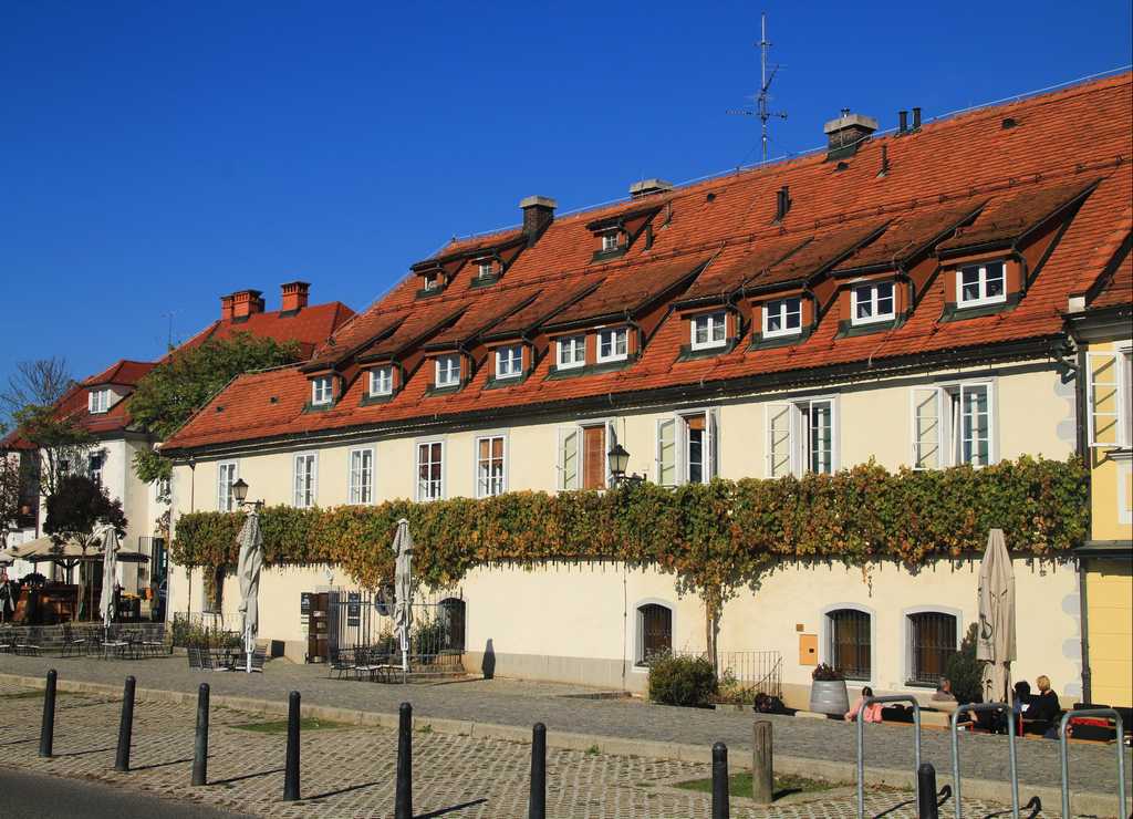 Dicen que la vid Stara trta es la más antigua del mundo. Dicen que la vid Stara trta es la más antigua del mundo.