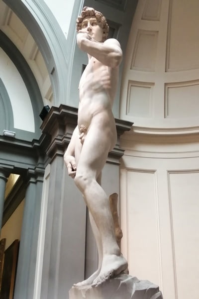 Estoy segura de que uno de tus motivos para visitar Florencia es para ver esta famosa escultura de Miguel Ángel.