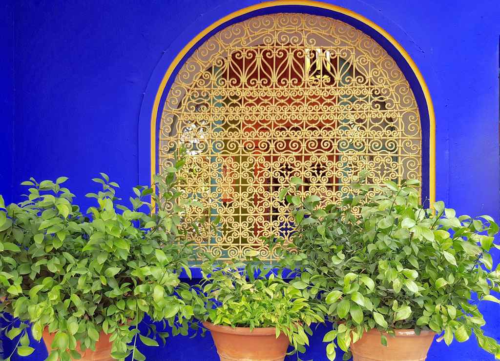 El Jardín Majorelle es el sitio más fotogénico que ver en Marrakech en 2 días.