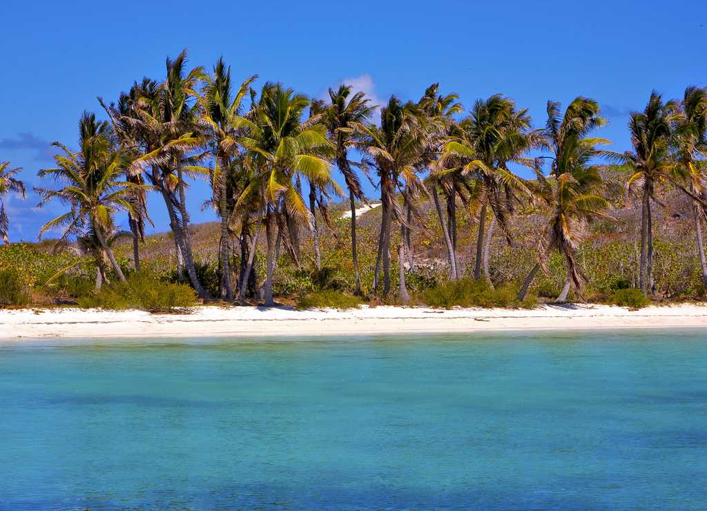 Si te apetece pasar un día haciendo snorkel en aguas turquesas, Isla Mujeres e Isla Contoy son muy buena opción.