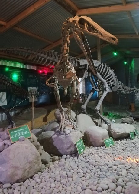 En el Centro de Interpretación Histórica puedes aprender mucho sobre la historia de Argentina desde la era de los dinosaurios.