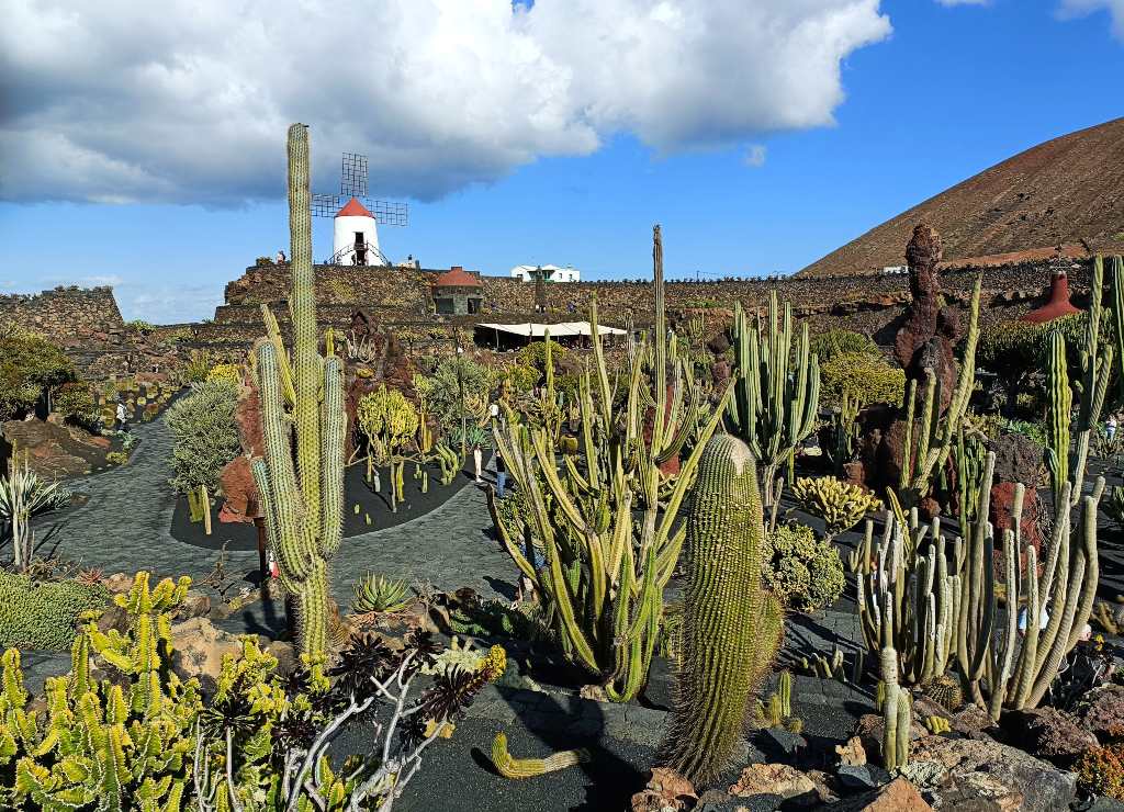 Jardín de Cactus de Lanzarote.
