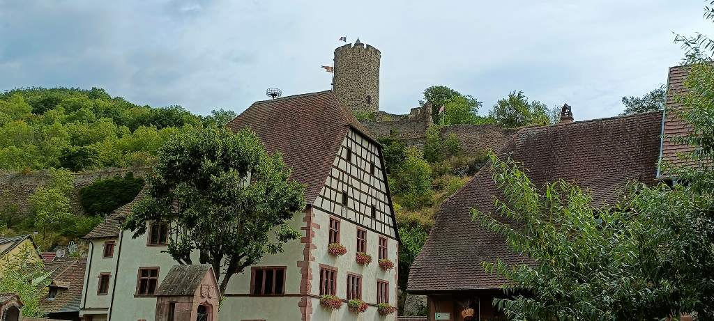 Desde la torre del Castillo de Kaysersberg tienes unas vistas preciosas del pueblo.