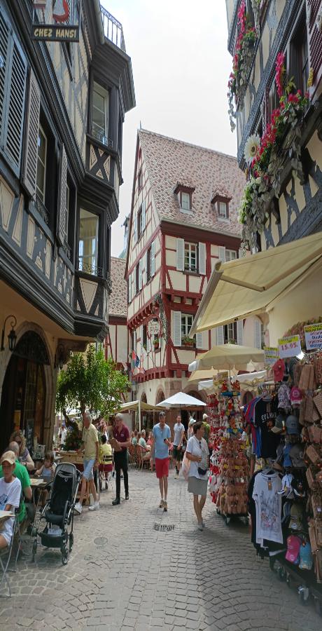 La Grand Rue es una de las calles con más ambiente de esta bonita ciudad alsaciana.