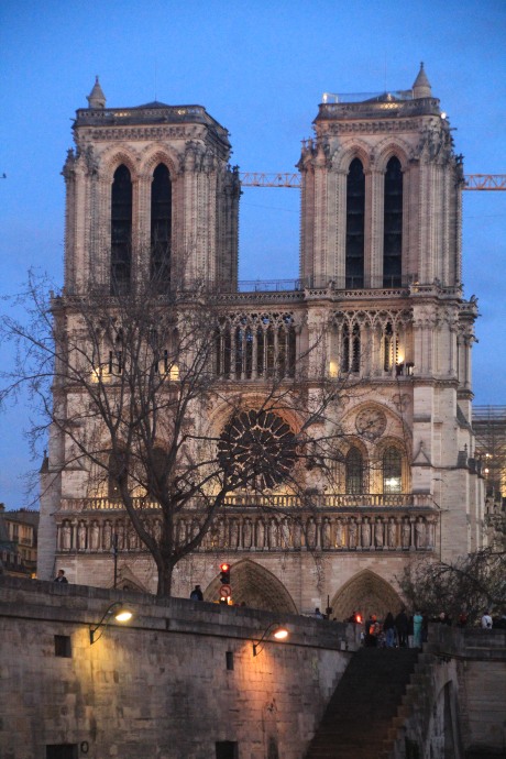 Catedral de Notre Dame al atardecer, visita esencial durante un viaje a París con niños.