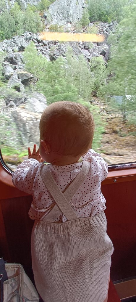 Viaje hasta Myrdal con niños en Noruega.