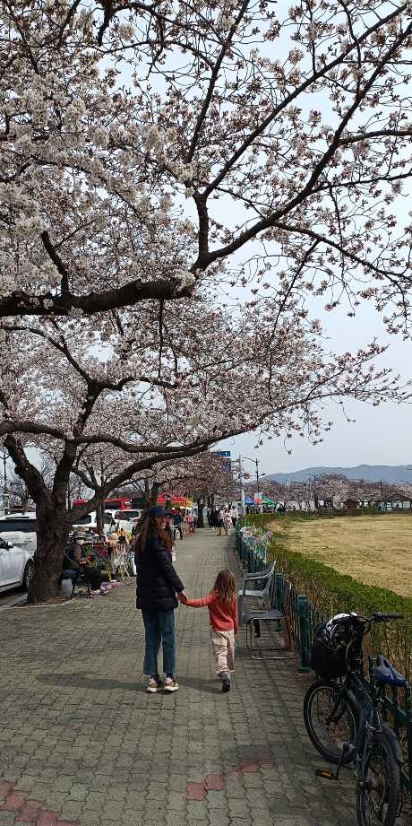 Cómo ir de Busan a Gyeongju, una de las ciudades más interesantes de Corea del Sur.