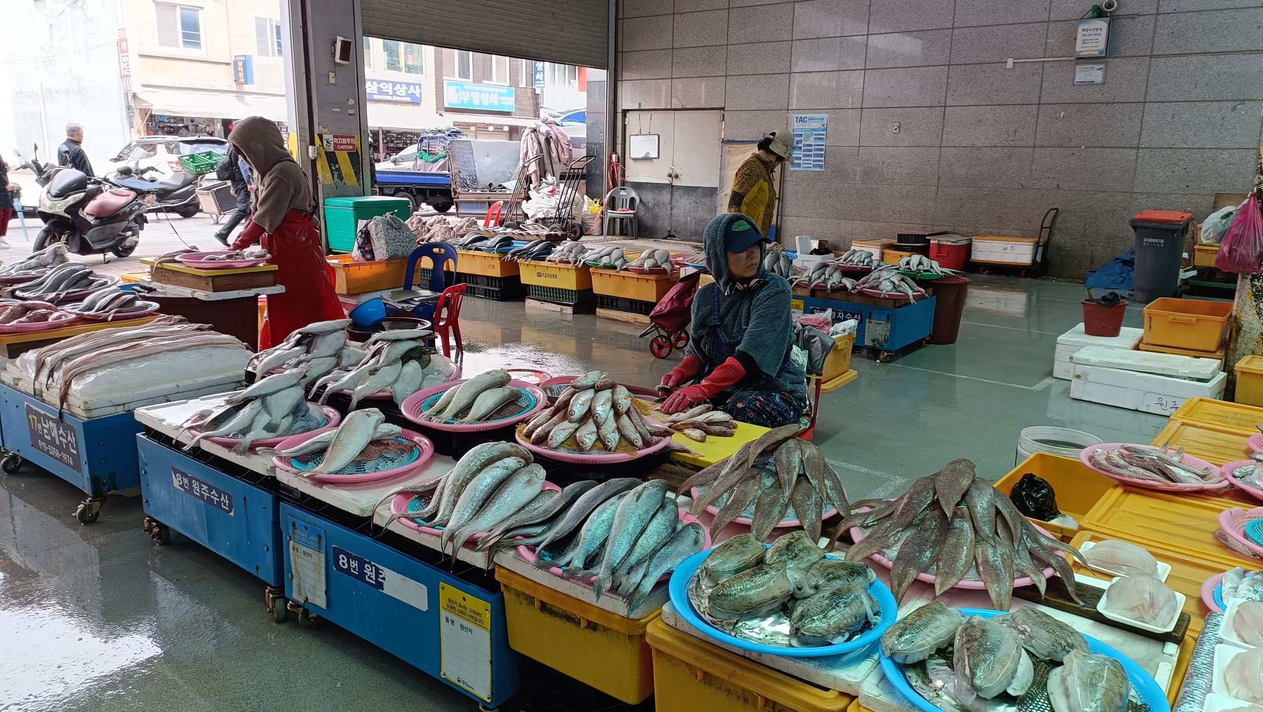 Mercado Jagalchi en Busan con pescado y marisco frescos.