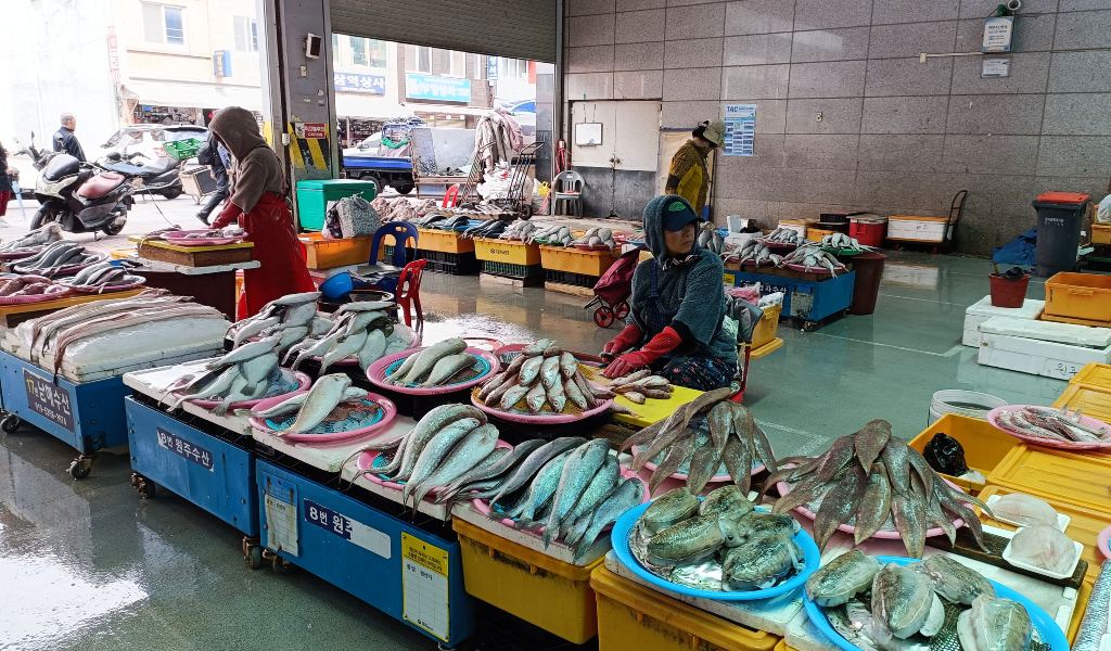 Mercado de pescado fresco en Jagalchi Market.