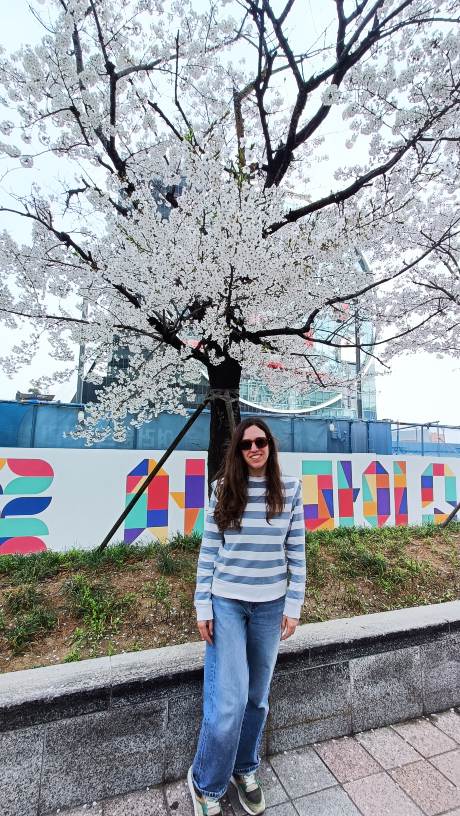 Cerezos en flor en Seúl durante la primavera.