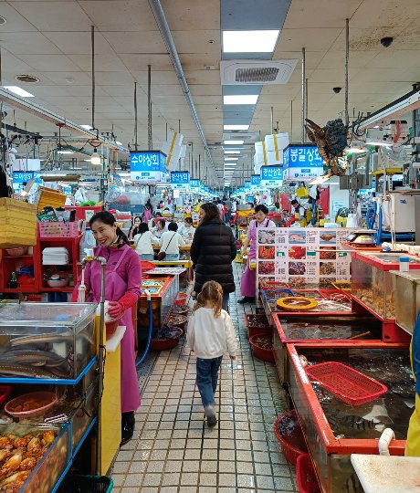 Mercado de pescado Jagalchi durante un viaje a Corea del Sur con niños.