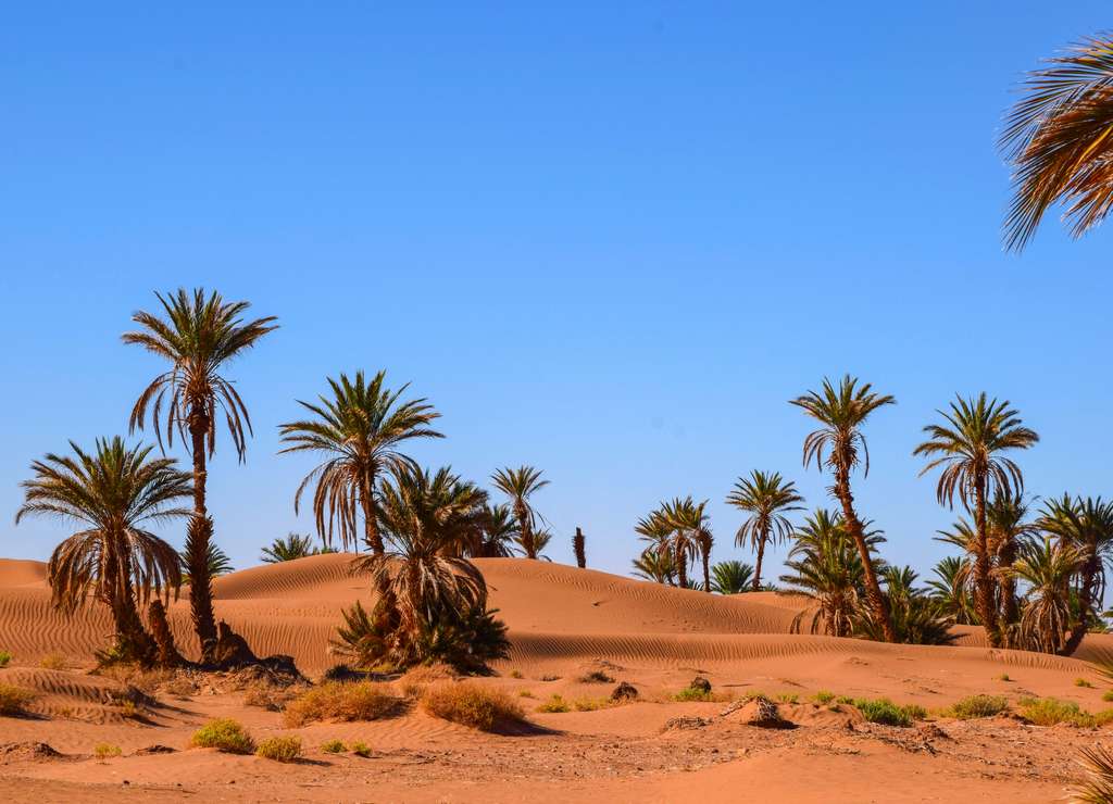 Cómo ir desde Marrakech al desierto de Merzouga.