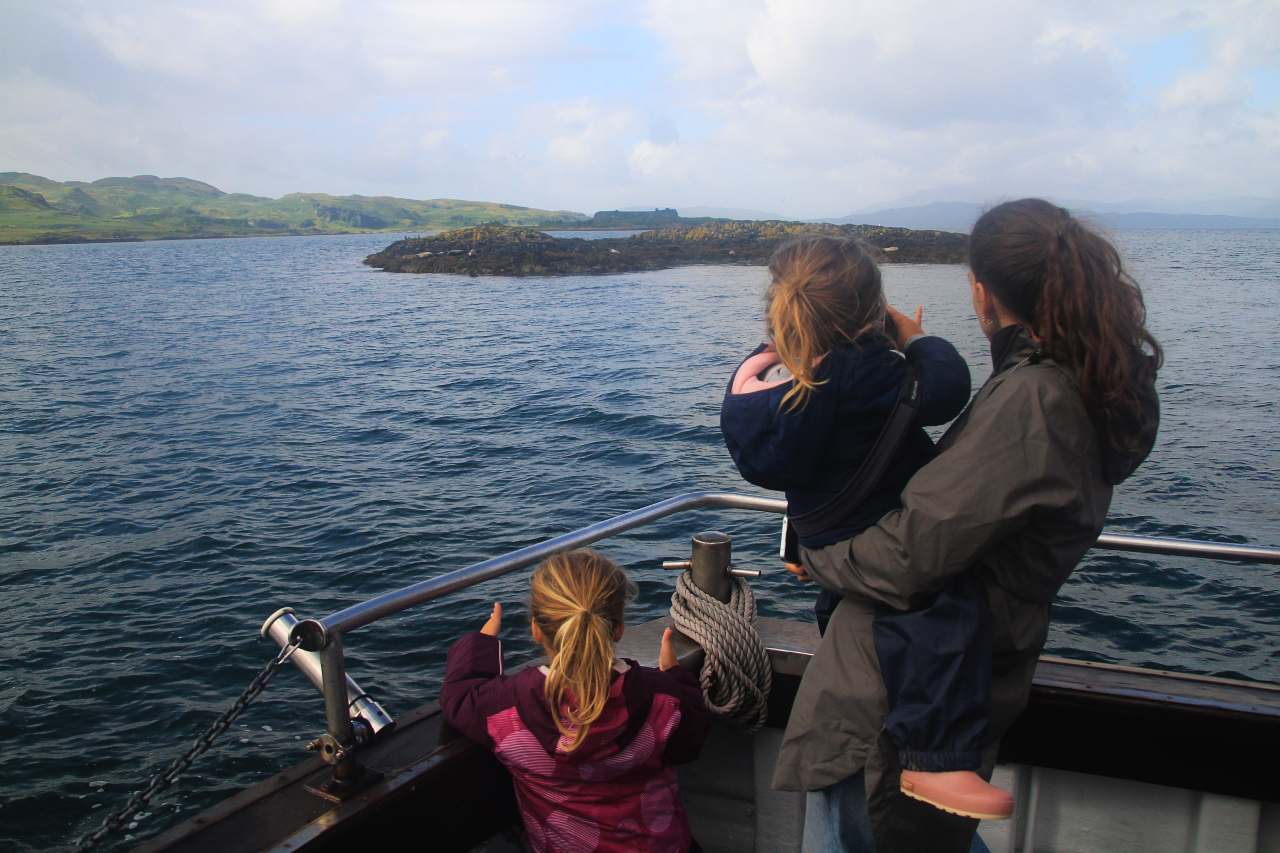 Excursión en barco para ver fauna marina durante un viaje a Escocia por libre.